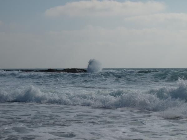 фото еще одно