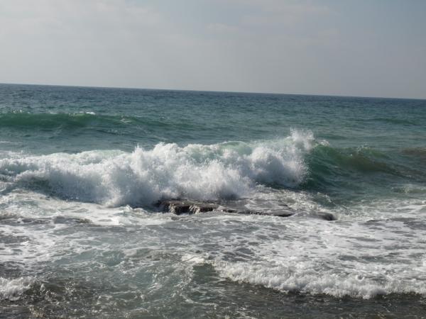 Первая картинка 